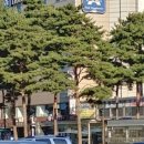 동대문지하쇼핑센터 이미지