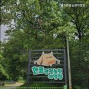 용인 캠핑장 한코관광농원야영장 프리미엄 야영장