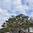 [양평 삼성리] 양평여행 용문 단체 펜션 감성숙소 &#39;아나톨레&#39; - 201 내돈내산 후기