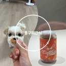 봉구의간식 - 부평구 부평대로38번길 6 | 강아지간식 추천 봉구의간식 홍삼닭 주문후기 알려드립니다