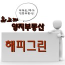 해피그린아파트 이미지