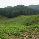깊은산속산채농원
