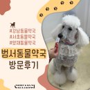 강남동물약국 | 강남/서초 동물약국에서 스탠더드푸들 하트캅, 엑토캅, 넥스포인트 가격 &amp; 방문 후기