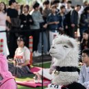 탑평소교량 이미지