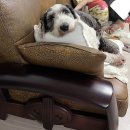 디디당구클럽 | -67 이쯤되면 숫자가 무슨 의미가 있나