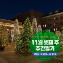 마이써니네일 | 2025년 11월 셋째 주 주간일기