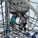 금강공원 놀이터 이미지