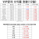 12월 11일 VIP문자반 매매일지/오늘의 핫이슈 및 특징주 이미지