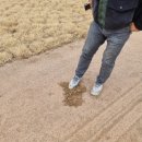 탄탄(tantan) 이미지