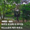 엔 뷰티하우스 | 제주 오설록 티뮤지엄 이니스프리 하우스 서쪽 가볼만한곳