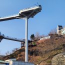 동해(삼척) Daum카페
