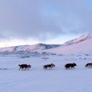 동영상 제작 이미지