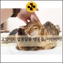 해운대플러스동물병원 이미지