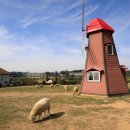 더 마을 핑크 이미지