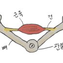 생활 한자 이미지