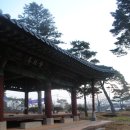 남산리 입석 Daum카페