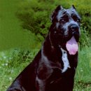 인터월드 이미지