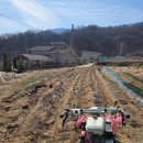 늘햇살농원 이미지