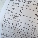 위너동물병원 | Jino and Ssan in Tokyo trip II + 천안일상
