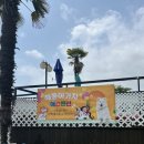 해돋이 가자 애견펜션 이미지