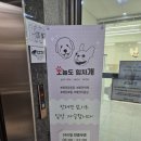 오늘도 힘차개 | 인천 청라 오늘도 힘차개 강아지 카페 및 반려동물 호텔 내 돈 내산 후기