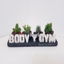 Y GYM 휘트니스 이미지