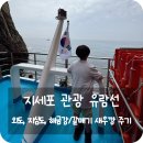 네네치킨외도점 | 거제도 외도, 해금강, 지심도 유람선 '지세포 유람선 터미널' 갈매기 새우깡 주기