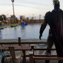 흰수염고래리조트 이미지