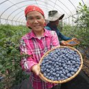 해남슈퍼 이미지