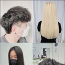 화이트홀헤어
