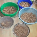 구현농장 이미지