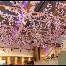 다우리참치 이미지