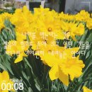 옐로우에셋