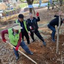 희망나무심기5 이미지