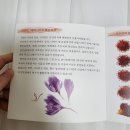 주식회사 서피란 이미지