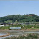 형산축산 | 아산 호산리산성(牙山 虎山里山城)