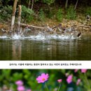 두메낚시터 이미지