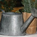 신용전제 이미지