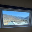 포메리카노 | 밀양애견펜션 포메리카노 이용 후기!