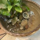 강기향헤어스토리 이미지