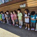 9월 1주 놀이사진입니다(3) -🌱 몸과 마음이 튼튼해지는 한살림 식생활 교육🫐🍞 이미지