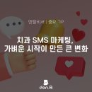 치과 SMS 마케팅으로 바뀐 실무 흐름 4가지