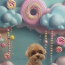 블랑드펫 이미지