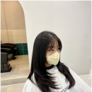 바미살롱 이미지