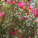 고스트타운 이미지