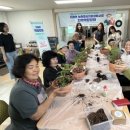 신평1리 이미지