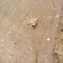 양사낚시터 이미지