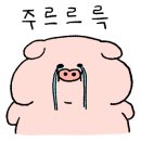 애월꼴통돼지
