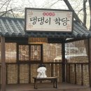 댕댕학당 이미지