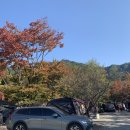 [캠핑장] 가평 사계절 캠핑장